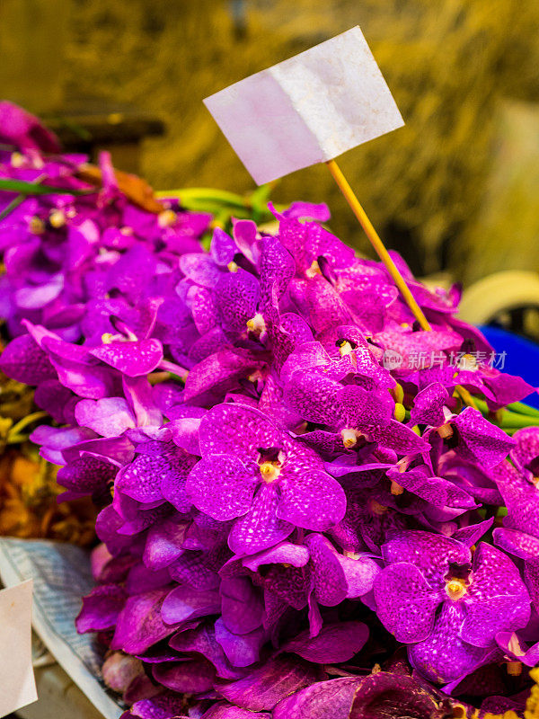 Khlong Talat里的花